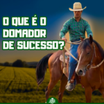 Descubra se o Curso Domador de Sucesso vale a pena! Veja a análise de alunos e saiba como ele pode transformar sua relação com os cavalos. Método eficaz e não agressivo.